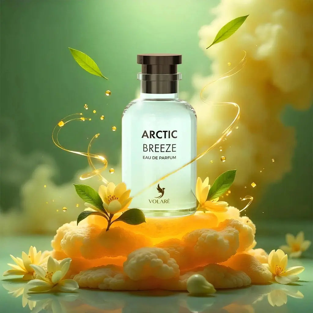 Arctic Breeze Volare Perfumes 100ml EDP Versatile Scent Imaginat Perfect For Both Day And Night Wear Product vendor Sham Perfume Store EDP Perfume