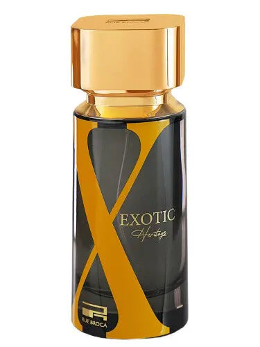 Exotic Heritage Pour EDP Spray 100ml RUE BROCA Code Man Woody Aromatic Designer Perfume X Exotic For Him-Exotic Heritage Product vendor Sham Perfume Store EDP Perfume