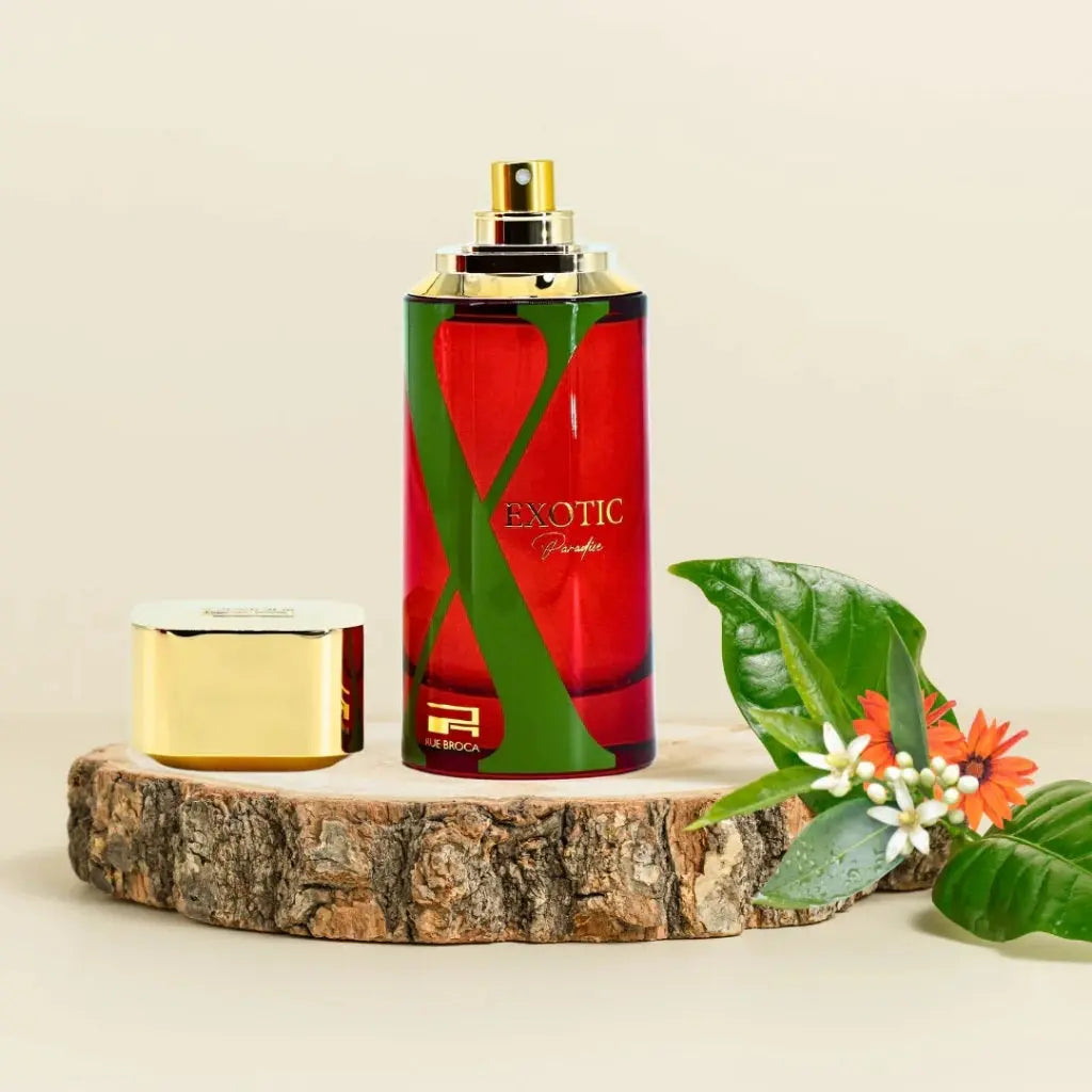 Exotic Paradise Lady Pour EDP Spray 100ML RUE BROCA Designer Perfumes Arab X Exotic Paradise For Her-X Exotic Paradise Product vendor Sham Perfume Store EDP Perfume