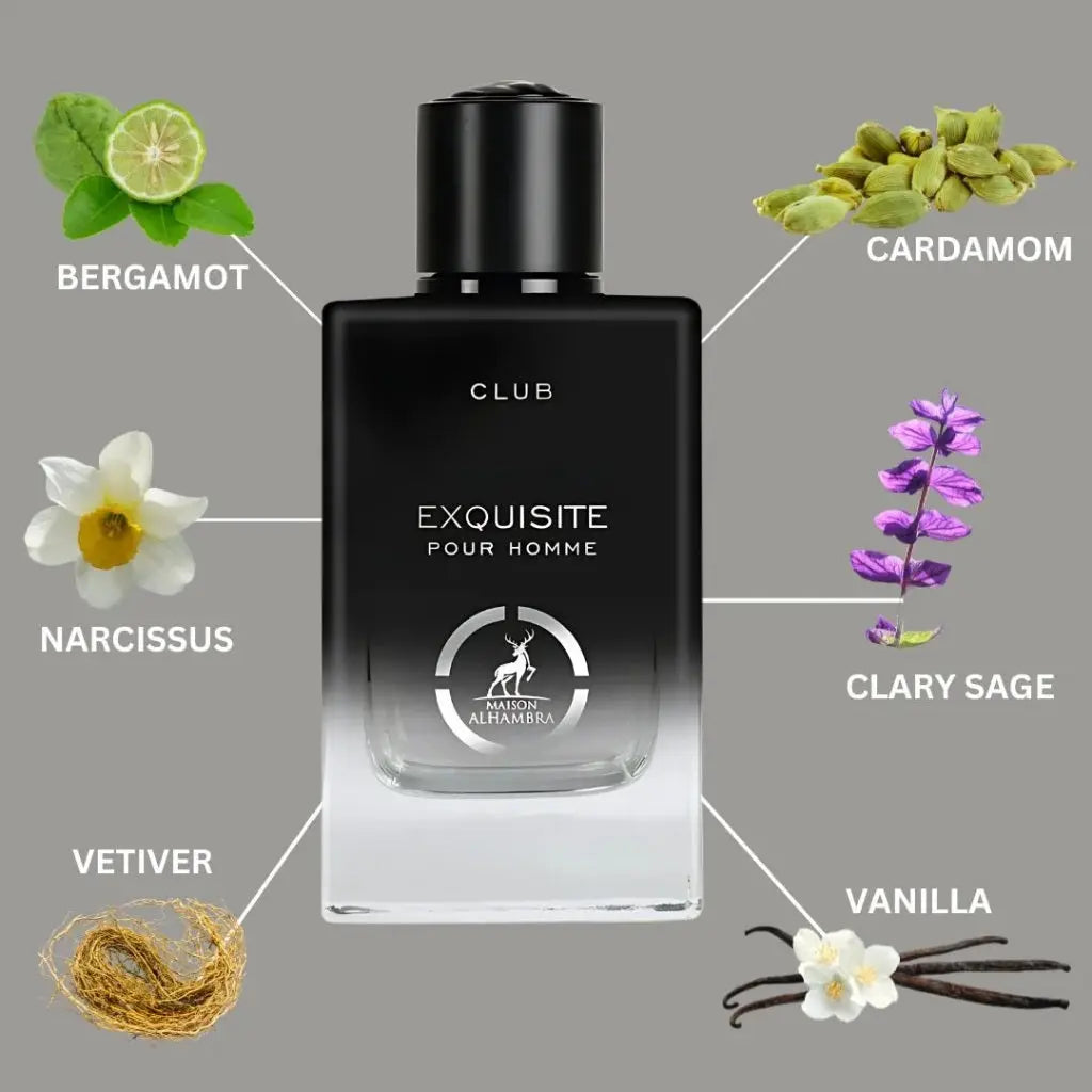 Exquisite Club Pour Homme Eau De Parfum Spray 100ML (3.4 OZ) by Maison Alhambra | A Fresh-Exquisite Club 100ml - Sham Perfume Store Perfume